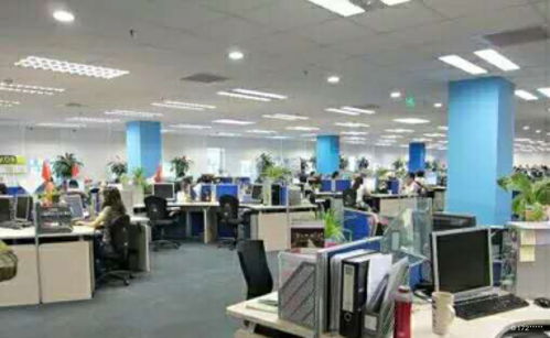 计算机信息网络设计的面试流程详解