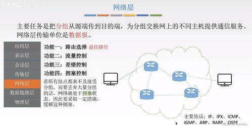 计算机网络基础与信息网络设计
